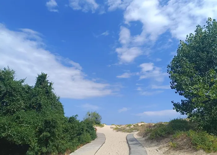 Aquamarin B - Sloneczny Brzeg-nesebyr דירה סאני ביץ'