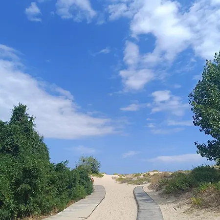 Aquamarin B - Sloneczny Brzeg-nesebyr Apartman Napospart